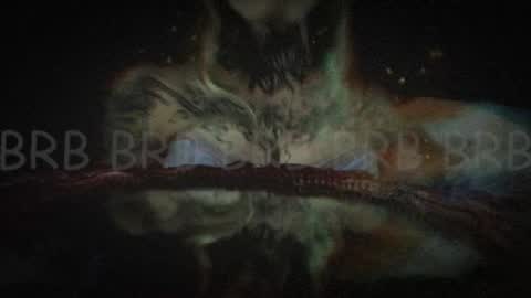 Niki  free tg channel with some photos gifs and info about streams  online show from February 2, 2025, 7:41 am