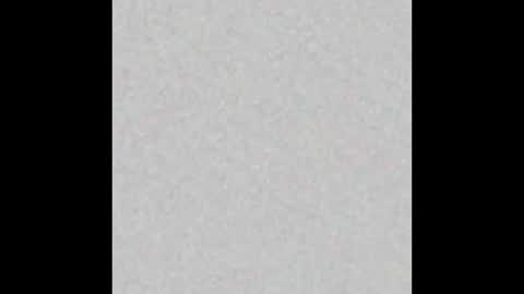 Liz  online show from February 15, 2025, 11:39 am