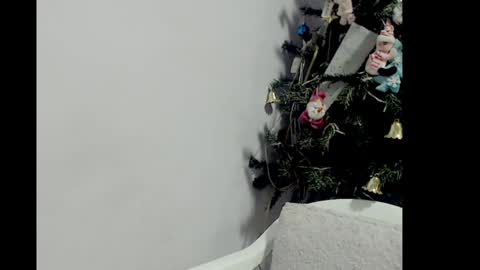 lizz1305 online show from December 26, 2024, 3:20 pm