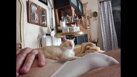 Snapshot of lo82 chatting on October 3, 2025, 11:51 am Lo82 online show from October 3, 2025, 11:51 am