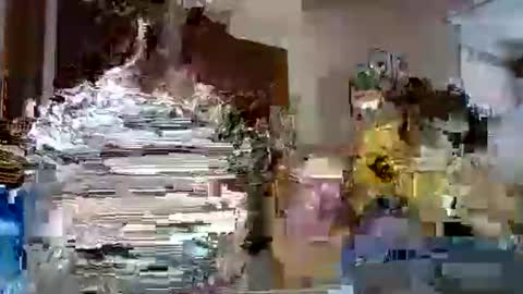 Snapshot of lolahueso chatting on February 12, 2025, 4:55 pm LOLA HUESO y ERIC online show from February 12, 2025, 4:55 pm