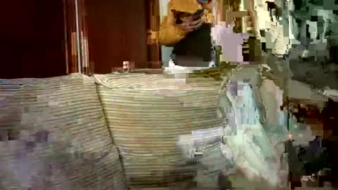 Snapshot of lolahueso chatting on February 19, 2025, 3:05 pm LOLA HUESO y ERIC online show from February 19, 2025, 3:05 pm