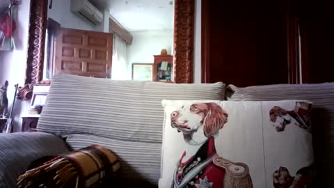 Snapshot of lolahueso chatting on February 23, 2025, 9:33 am LOLA HUESO y ERIC online show from February 23, 2025, 9:33 am