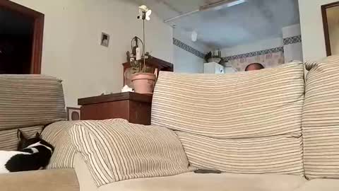 Snapshot of lolahueso chatting on September 22, 2025, 8:38 am LOLA HUESO y ERIC online show from September 22, 2025, 8:38 am