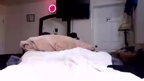 lookatmecum4you online show from October 17, 2025, 8:28 am