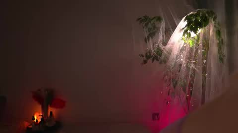 Lorrie online show from September 30, 2025, 8:41 am