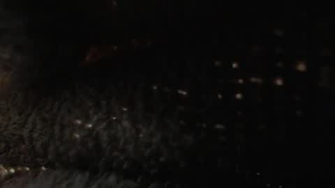 Snapshot of louis_bcasta1 chatting on January 22, 2025, 11:01 am OF louis bcasta1 online show from January 22, 2025, 11:01 am