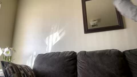 lovecurve_ online show from March 4, 2025, 10:05 pm