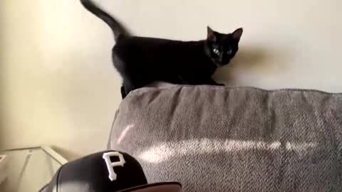 lovecurve_ online show from March 7, 2025, 1:09 am