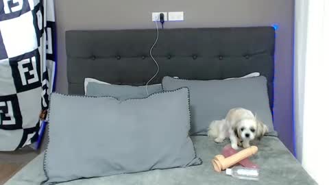 Snapshot of lovely_jastine chatting on December 2, 2024, 1:58 am Jastine online show from December 2, 2024, 1:58 am