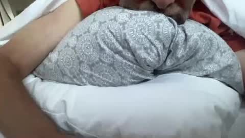 Snapshot of lqi chatting on September 16, 2025, 11:00 am lqi online show from September 16, 2025, 11:00 am