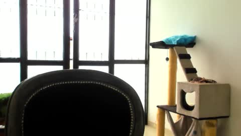 Snapshot of luara__01__lecat_1 chatting on November 24, 2025, 5:34 pm luara__01__lecat_1 online show from November 24, 2025, 5:34 pm