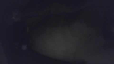 luca150500 online show from January 30, 2025, 4:48 am