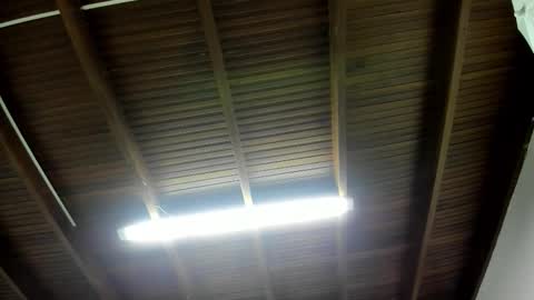 luca_morettii online show from November 5, 2025, 12:16 pm