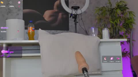 Snapshot of luckystrikee_ chatting on February 8, 2025, 11:13 pm Alice online show from February 8, 2025, 11:13 pm