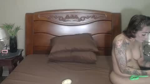 lulu_wild online show from November 5, 2025, 8:36 am