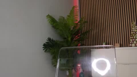 Snapshot of luna__dior chatting on December 5, 2025, 6:11 am Luna Dior online show from December 5, 2025, 6:11 am