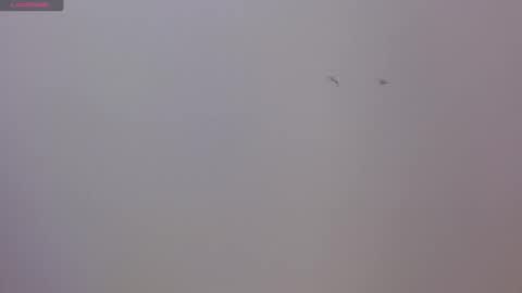 Luna and Rick online show from November 17, 2025, 8:36 pm