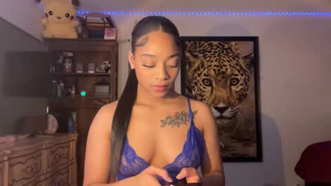 Snapshot of lunaa_11 chatting on February 28, 2025, 10:06 pm lunaa_11 online show from February 28, 2025, 10:06 pm