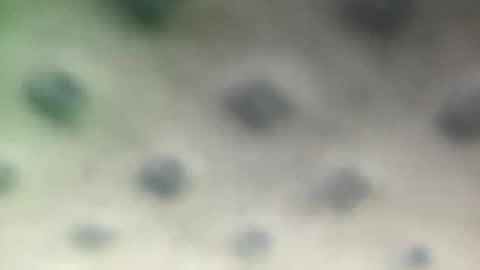 Snapshot of luquita094 chatting on November 7, 2025, 11:54 am luquita094 online show from November 7, 2025, 11:54 am