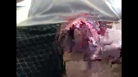 Snapshot of lutorres chatting on September 19, 2025, 11:55 am lutorres online show from September 19, 2025, 11:55 am