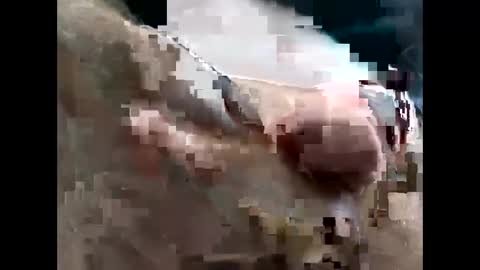 lutorres online show from November 22, 2025, 3:33 pm