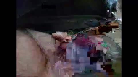 lutorres online show from December 22, 2025, 8:55 am