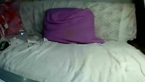 Bee Bee online show from March 10, 2025, 6:38 am