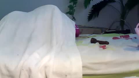 Bee Bee online show from September 22, 2025, 3:41 am