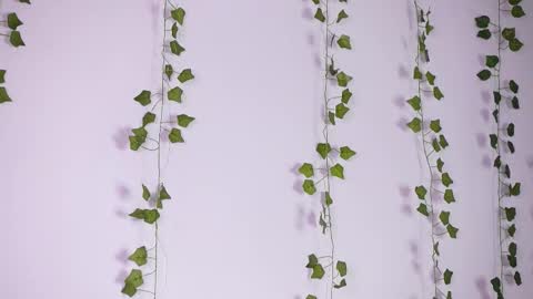 Lyly   online show from September 27, 2025, 8:19 am