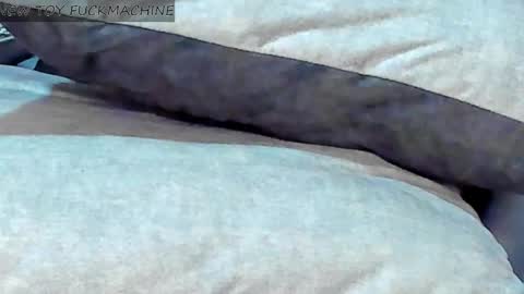 Snapshot of madison_milan chatting on February 8, 2025, 7:48 am online show from February 8, 2025, 7:48 am