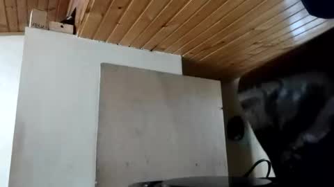 Snapshot of maite_stone1 chatting on October 31, 2025, 11:55 am MAITE STONE1 online show from October 31, 2025, 11:55 am