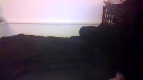 CommandbondageNipples bondage kink submissive lovense slave wgear. modequiethvyBondage If Password goldfish online show from October 20, 2025, 7:20 am