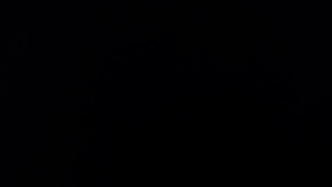 Alice Asylum online show from November 16, 2025, 3:45 am