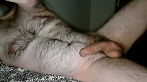 Man Dime Bear17 online show from December 27, 2024, 5:31 am