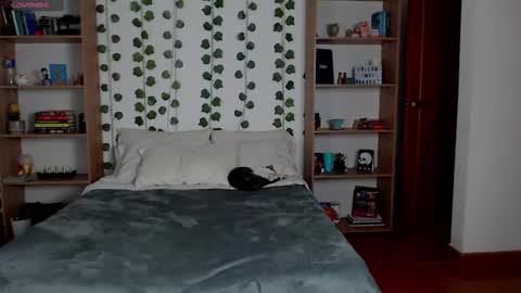 Danny online show from March 6, 2025, 5:24 am