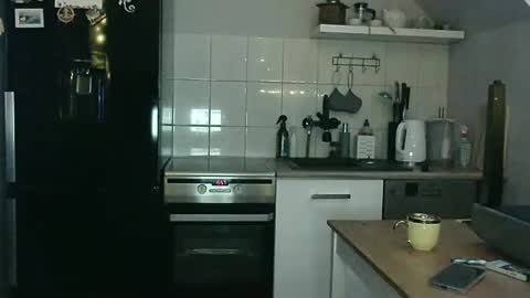 Snapshot of marek39 chatting on January 11, 2025, 2:58 pm Marek online show from January 11, 2025, 2:58 pm