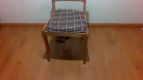 Snapshot of maripaula369 chatting on February 22, 2025, 3:23 am Maripaula369 online show from February 22, 2025, 3:23 am