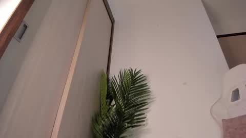 markus... Y online show from December 13, 2024, 12:42 am