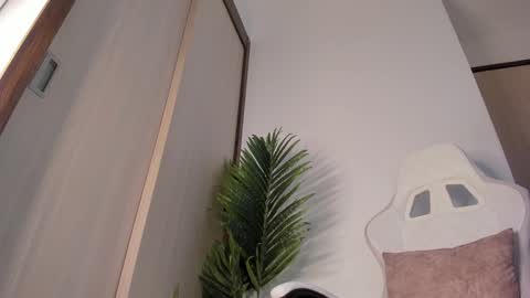 markus... Y online show from December 29, 2024, 1:24 am