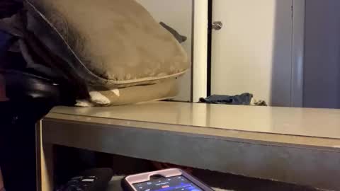 martasub online show from December 15, 2025, 4:11 pm