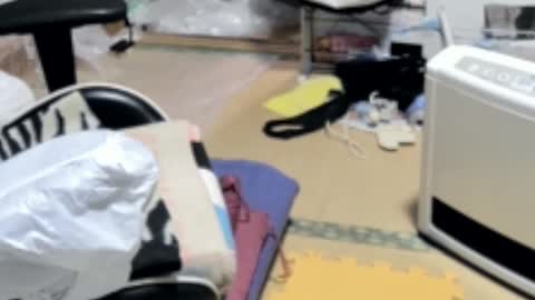 masayann online show from December 19, 2024, 7:07 am