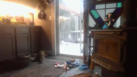 The Big Duurty online show from February 15, 2025, 2:22 pm