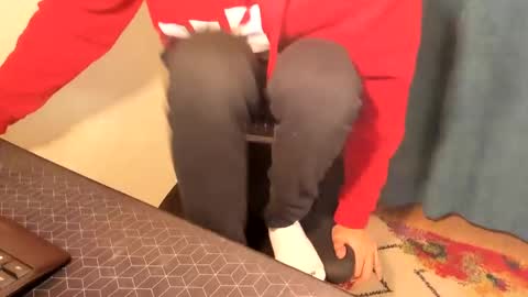 Snapshot of mastermiko chatting on December 15, 2024, 8:15 pm Silly Rabbit online show from December 15, 2024, 8:15 pm