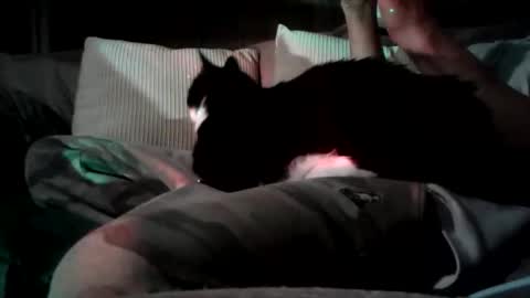 Snapshot of mastrdebator chatting on November 5, 2025, 9:59 pm mastrdebator online show from November 5, 2025, 9:59 pm