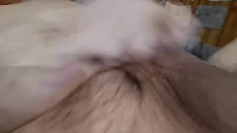 Snapshot of masturbator469658 chatting on November 7, 2025, 2:50 pm masturbator469658 online show from November 7, 2025, 2:50 pm