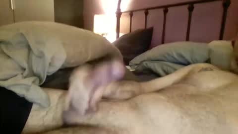 Snapshot of matrixdog69 chatting on November 4, 2025, 4:06 pm matrixdog69 online show from November 4, 2025, 4:06 pm