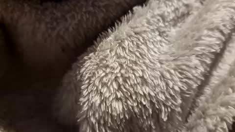 Snapshot of mattca80 chatting on October 4, 2025, 2:53 am mattca80 online show from October 4, 2025, 2:53 am