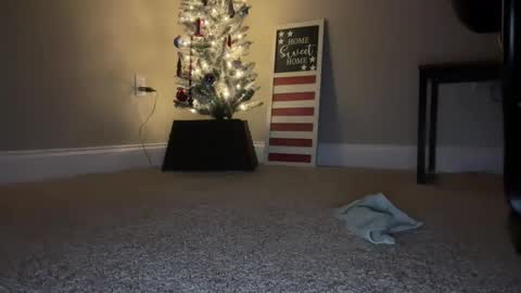 maxx276828 online show from November 22, 2025, 4:44 am