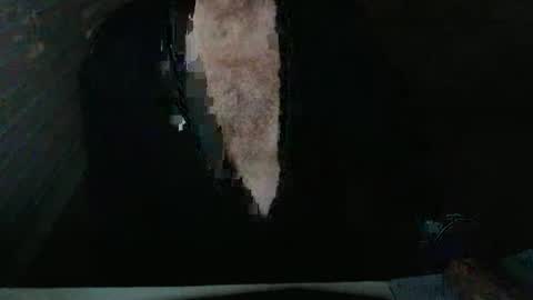 Snapshot of mbeastie chatting on November 5, 2025, 3:50 am Beastie online show from November 5, 2025, 3:50 am